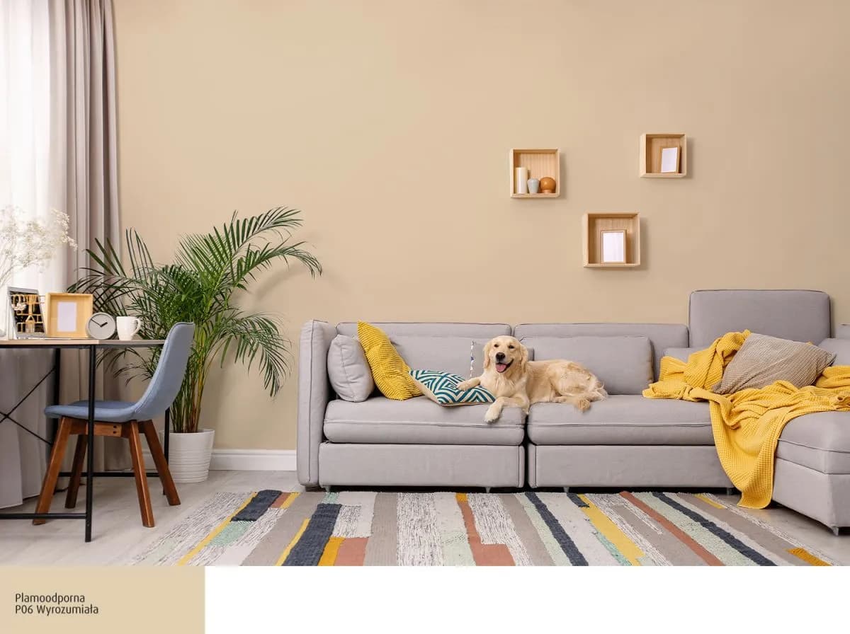 Paleta kolorów Śnieżka Barwy Natury: wybór, ceny i jak dopasować kolory do wnętrza?